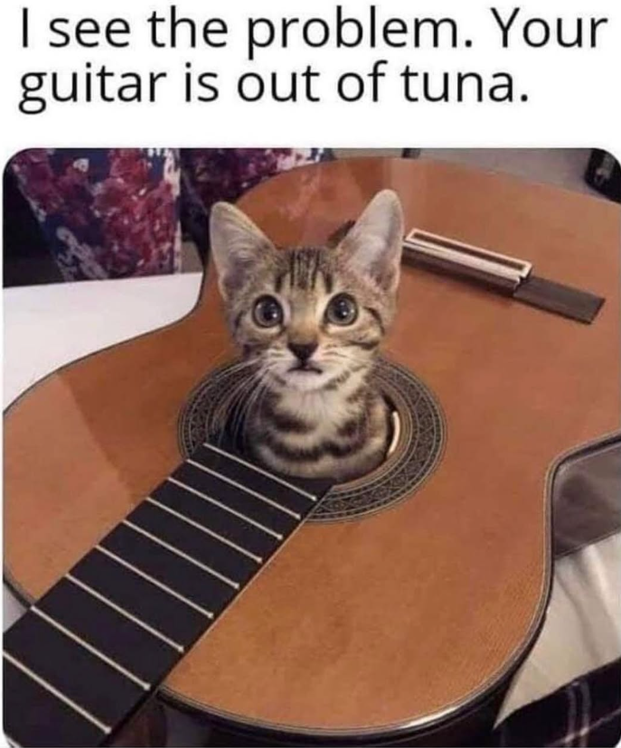 I see the problem. Your guitar is out of tuna.