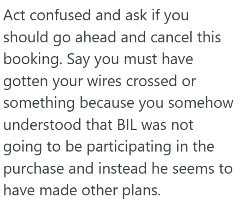 Act confused and ask if you should go ahead and cancel this booking. Say you must have gotten your wires crossed or something because you somehow understood that BIL was not going to be participating in the purchase and instead he seems to have made other plans.