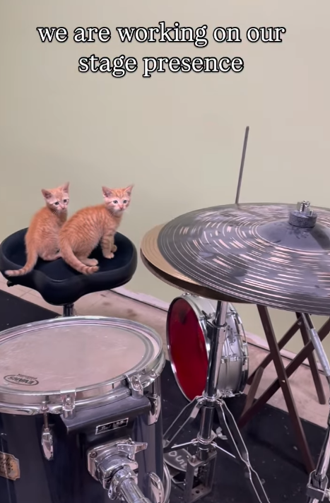 we are working on our stage presence