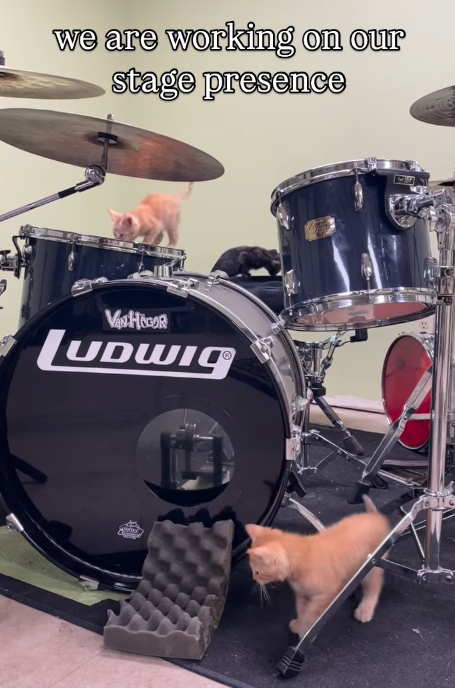 we are working on our stage presence VAN HOOR LUDWIG