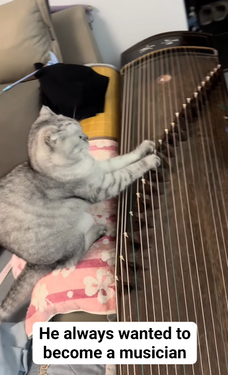 He always wanted to become a musician B