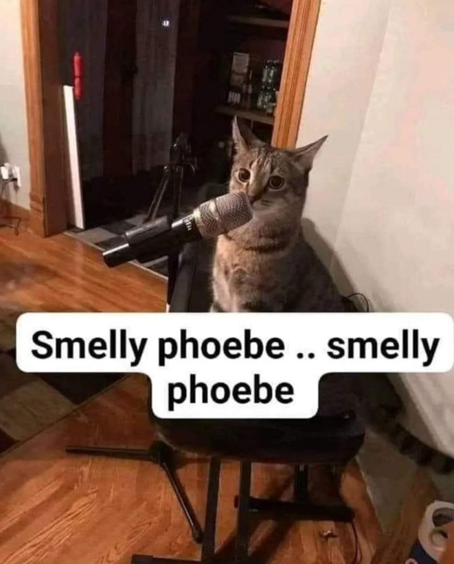 H Smelly phoebe.. smelly phoebe