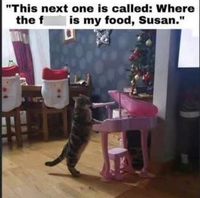 "This next one is called: Where the f is my food, Susan."