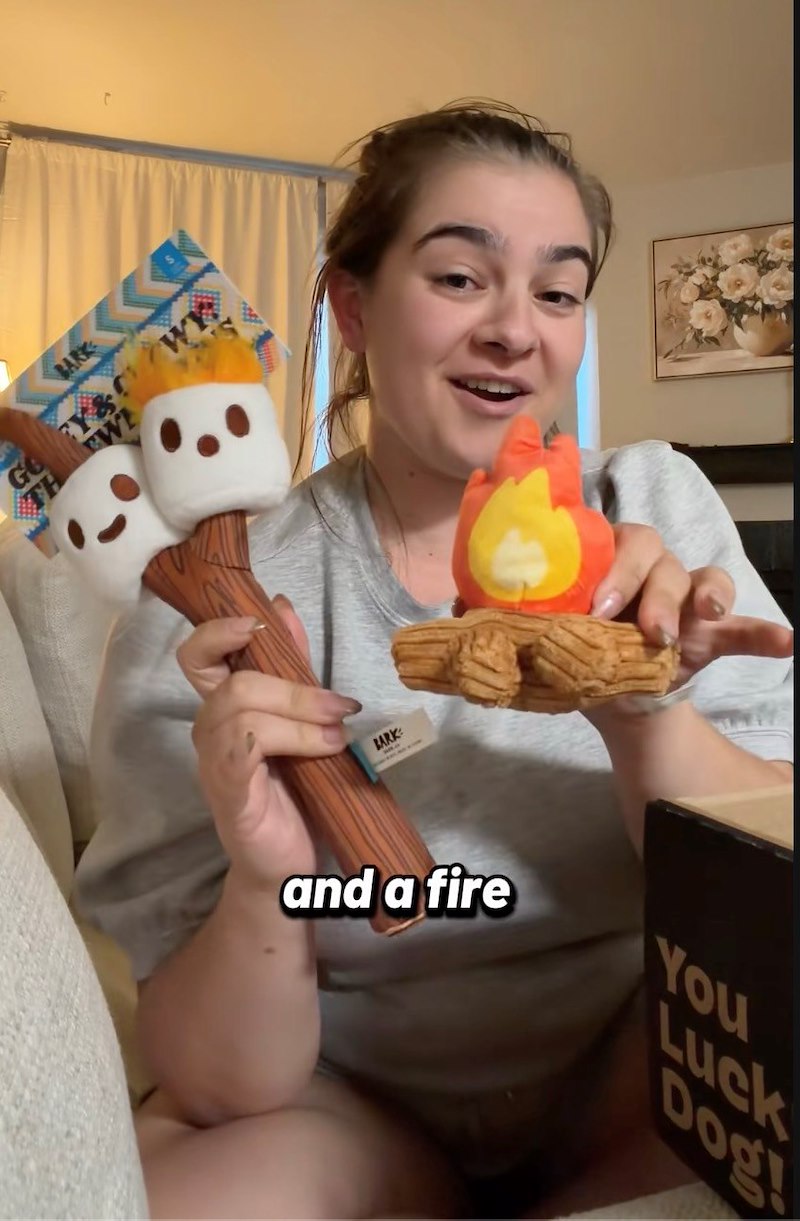 BARK GO Y&! WY TH W BARK and a fire You Luck Dog!