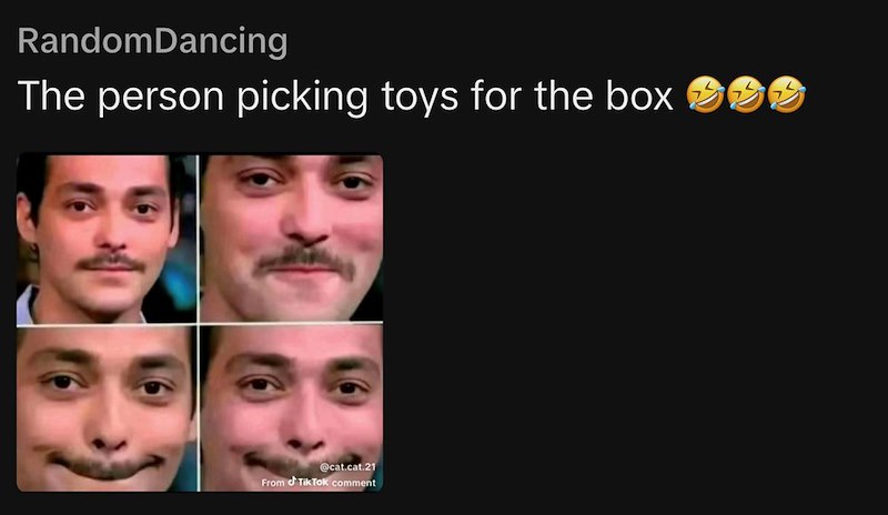 RandomDancing The person picking toys for the box >>> @cat.cat.21 From Tik Tok comment