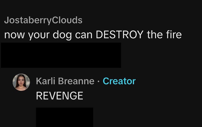 JostaberryClouds now your dog can DESTROY the fire Karli Breanne • Creator REVENGE