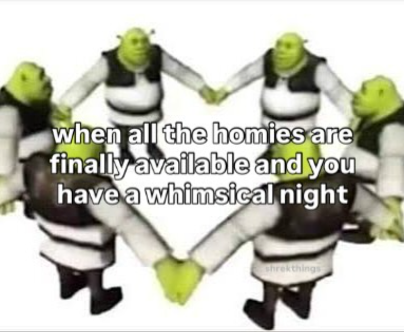 when all the homies are finally available and you have a whimsical night shrekthings
