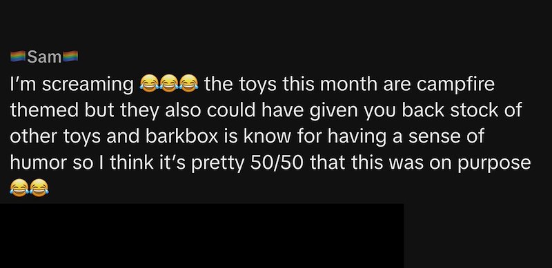 Sam I'm screaming see the toys this month are campfire themed but they also could have given you back stock of other toys and barkbox is know for having a sense of humor so I think it's pretty 50/50 that this was on purpose
