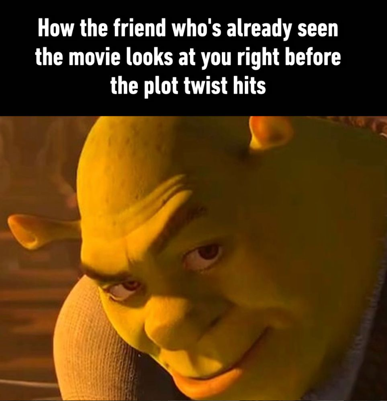 How the friend who's already seen the movie looks at you right before the plot twist hits