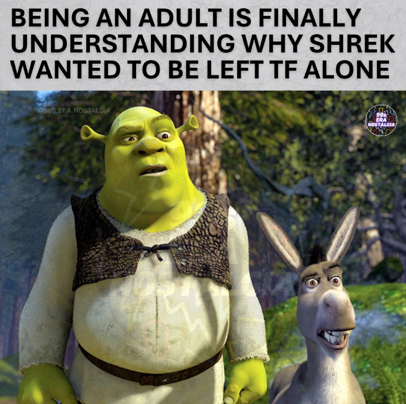 BEING AN ADULT IS FINALLY UNDERSTANDING WHY SHREK WANTED TO BE LEFT TF ALONE @90S.ERA.NOSTALGIA 3DS ERA NOSTALGIA 90s ERA NOSTALGIA