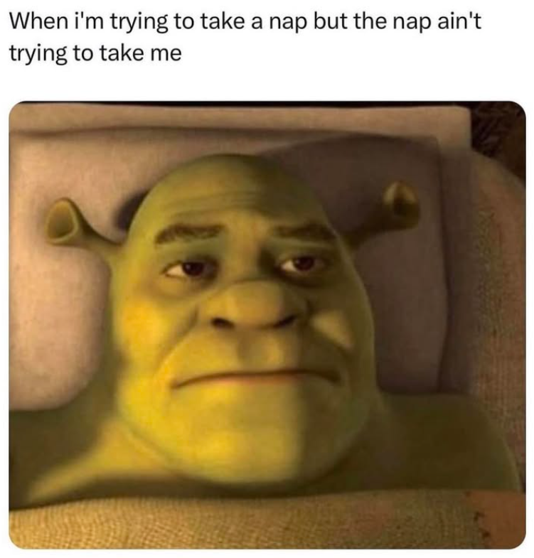 When i'm trying to take a nap but the nap ain't trying to take me