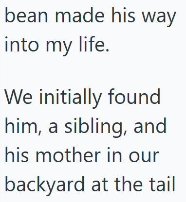 bean made his way into my life. We initially found him, a sibling, and his mother in our backyard at the tail