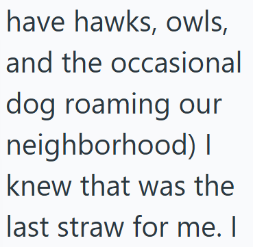 have hawks, owls, and the occasional dog roaming our neighborhood) I knew that was the last straw for me. I