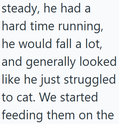 steady, he had a hard time running, he would fall a lot, and generally looked like he just struggled to cat. We started feeding them on the