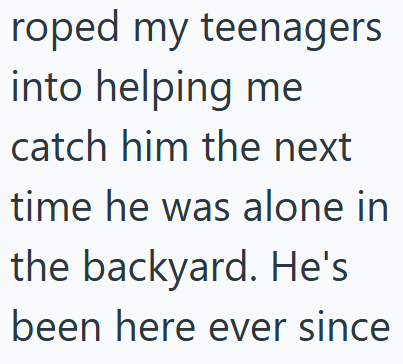 roped my teenagers into helping me catch him the next time he was alone in the backyard. He's been here ever since