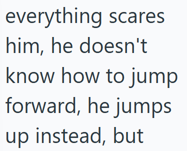 everything scares him, he doesn't know how to jump forward, he jumps up instead, but