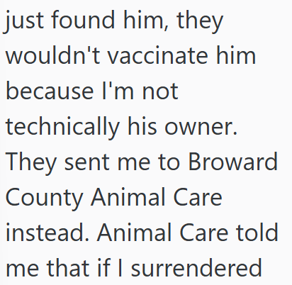 just found him, they wouldn't vaccinate him because I'm not technically his owner. They sent me to Broward County Animal Care instead. Animal Care told me that if I surrendered