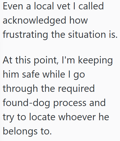 Even a local vet I called acknowledged how frustrating the situation is. At this point, I'm keeping him safe while I go through the required found-dog process and try to locate whoever he belongs to.