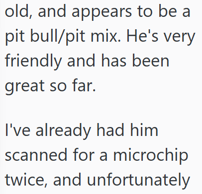 old, and appears to be a pit bull/pit mix. He's very friendly and has been great so far. I've already had him scanned for a microchip twice, and unfortunately