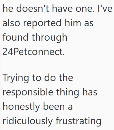 he doesn't have one. I've also reported him as found through 24Petconnect. Trying to do the responsible thing has honestly been a ridiculously frustrating