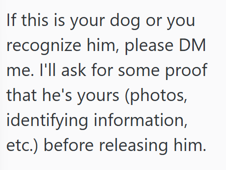 If this is your dog or you recognize him, please DM me. I'll ask for some proof that he's yours (photos, identifying information, etc.) before releasing him.