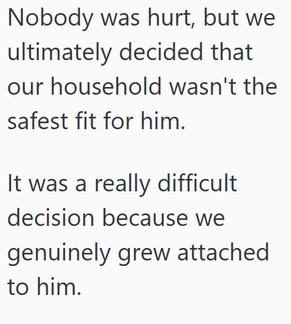 Nobody was hurt, but we ultimately decided that our household wasn't the safest fit for him. It was a really difficult decision because we genuinely grew attached to him.