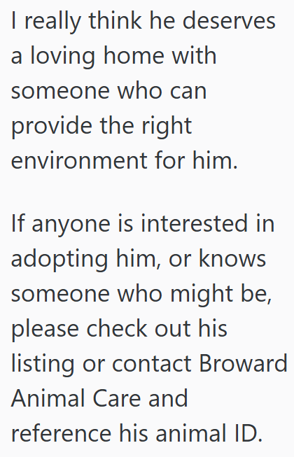 I really think he deserves a loving home with someone who can provide the right environment for him. If anyone is interested in adopting him, or knows someone who might be, please check out his listing or contact Broward Animal Care and reference his animal ID.