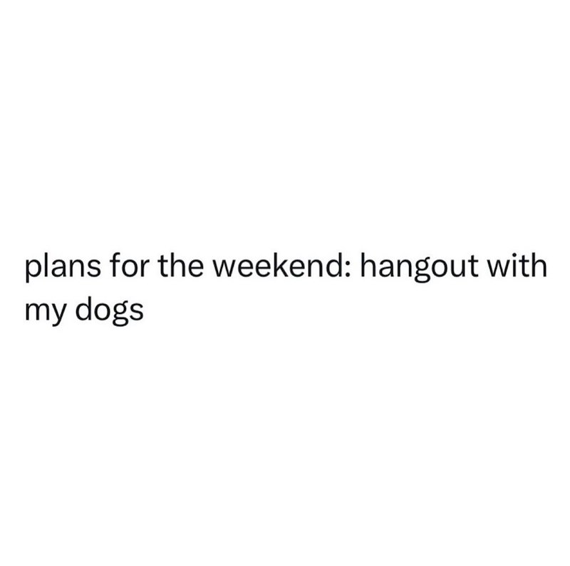 plans for the weekend: hangout with my dogs