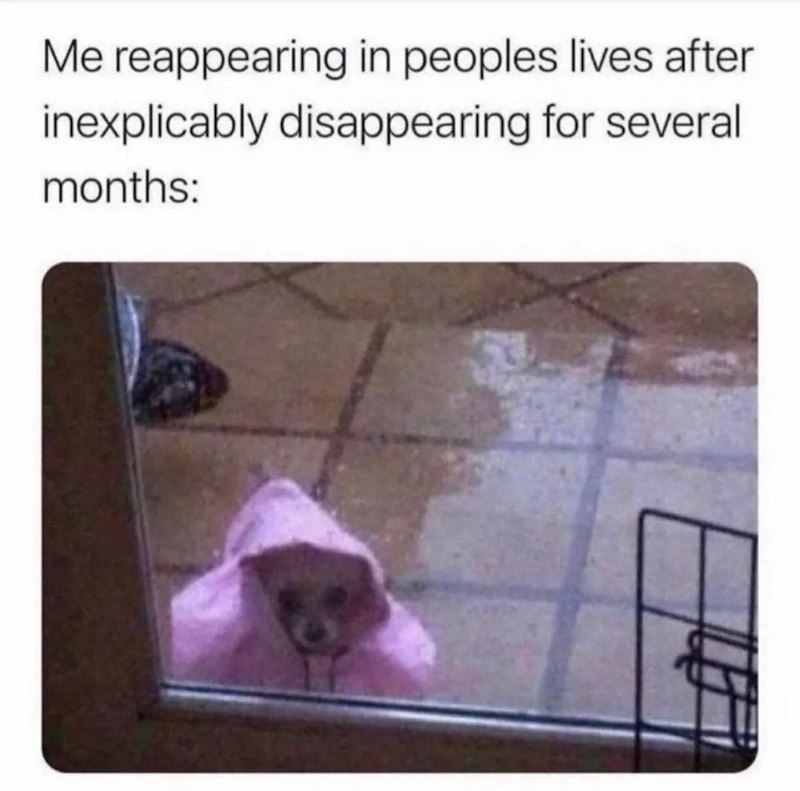 Me reappearing in peoples lives after inexplicably disappearing for several months: