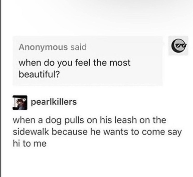 Anonymous said when do you feel the most beautiful? pearlkillers when a dog pulls on his leash on the sidewalk because he wants to come say hi to me