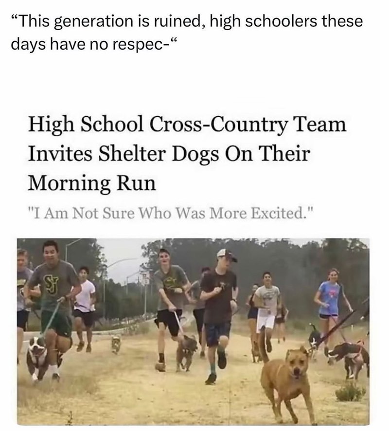 "This generation is ruined, high schoolers these days have no respec-" High School Cross-Country Team Invites Shelter Dogs On Their Morning Run "I Am Not Sure Who Was More Excited."