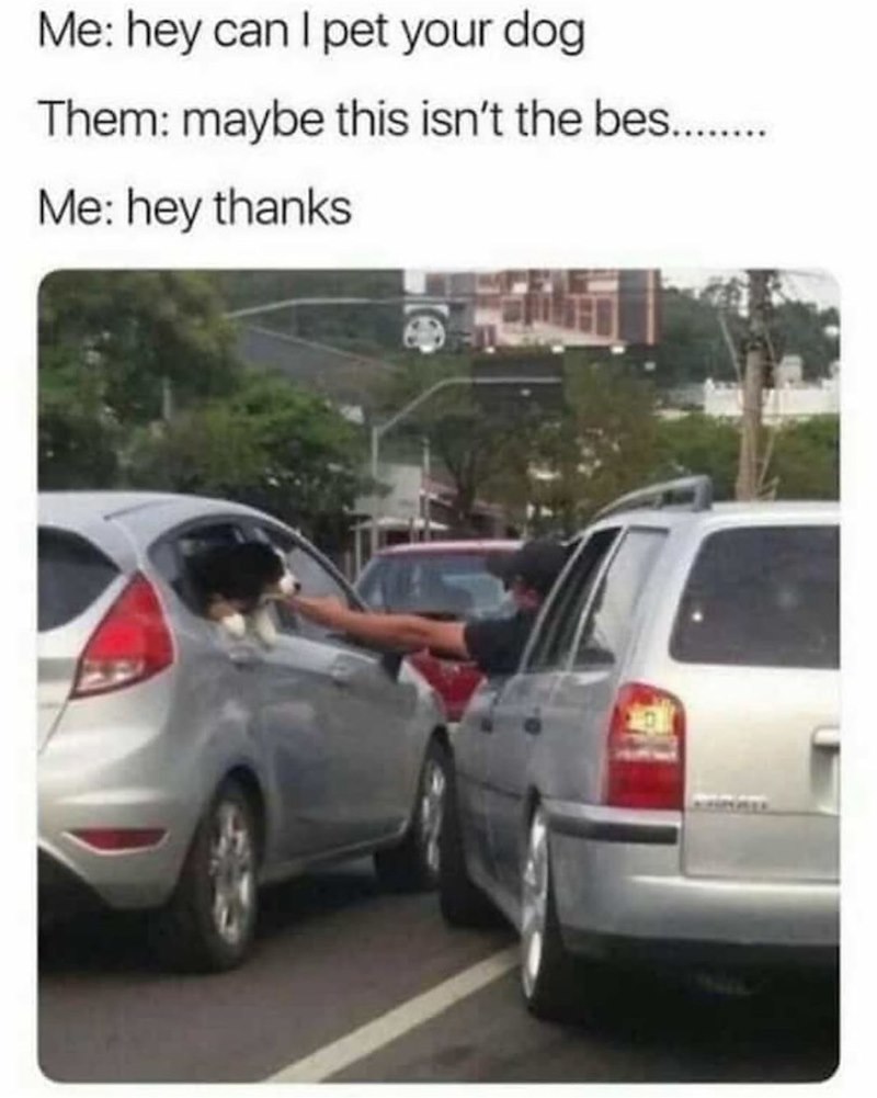Me: hey can I pet your dog Them: maybe this isn't the bes......... Me: hey thanks