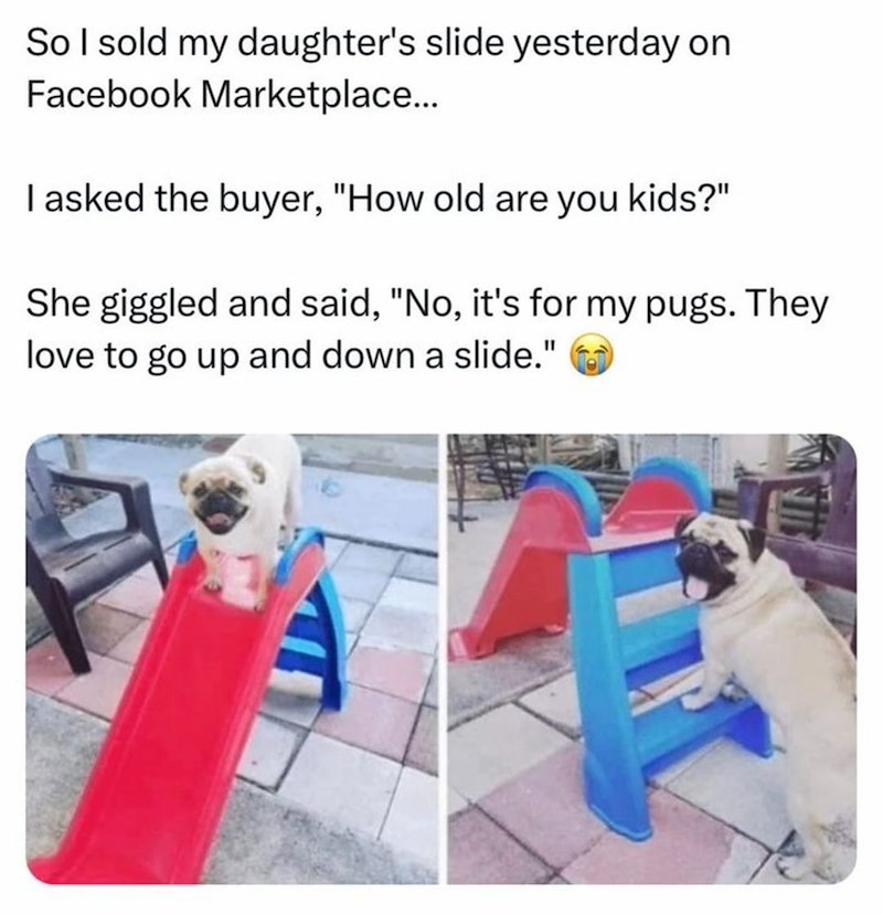 So I sold my daughter's slide yesterday on Facebook Marketplace... I asked the buyer, "How old are you kids?" She giggled and said, "No, it's for my pugs. They love to go up and down a slide."