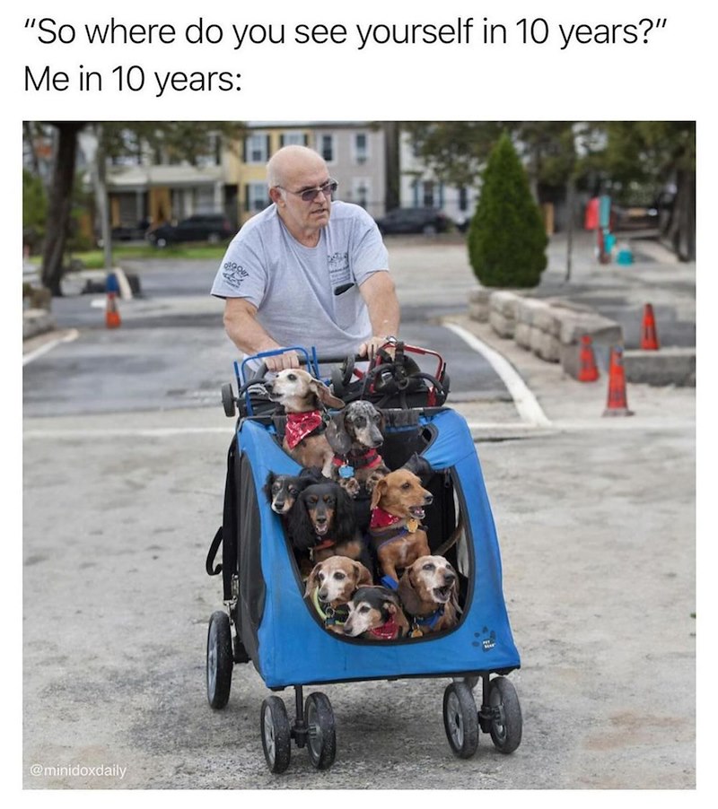 "So where do you see yourself in 10 years?" Me in 10 years: @minidoxdaily