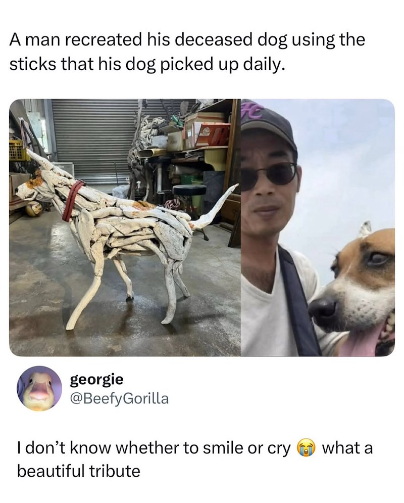 A man recreated his deceased dog using the sticks that his dog picked up daily. georgie @Beefy Gorilla I don't know whether to smile or cry beautiful tribute what a