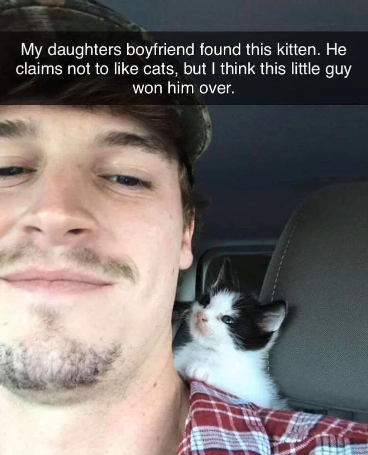My daughters boyfriend found this kitten. He claims not to like cats, but I think this little guy won him over.