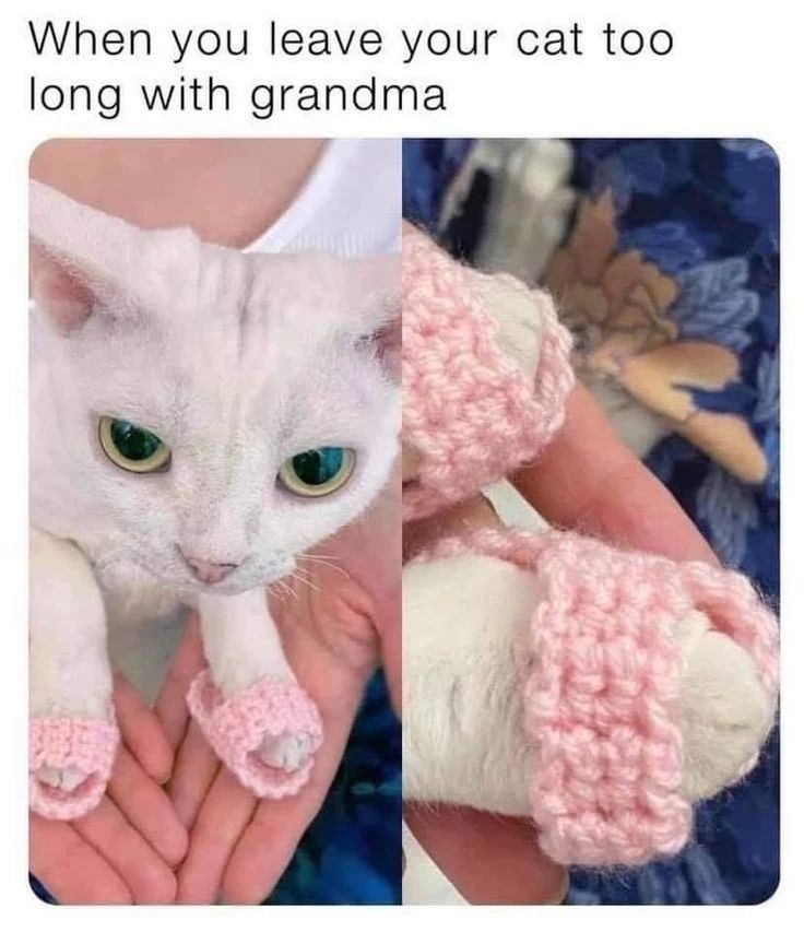 When you leave your cat too long with grandma