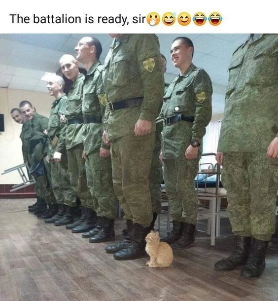 The battalion is ready, sir G B