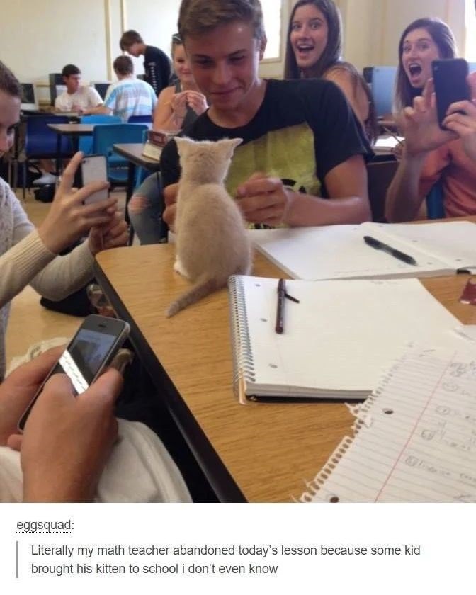 ni eggsquad: Literally my math teacher abandoned today's lesson because some kid brought his kitten to school i don't even know