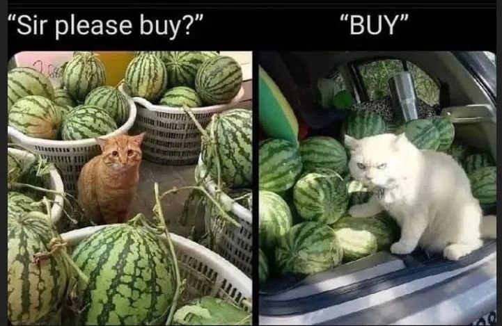 "Sir please buy?" "BUY"
