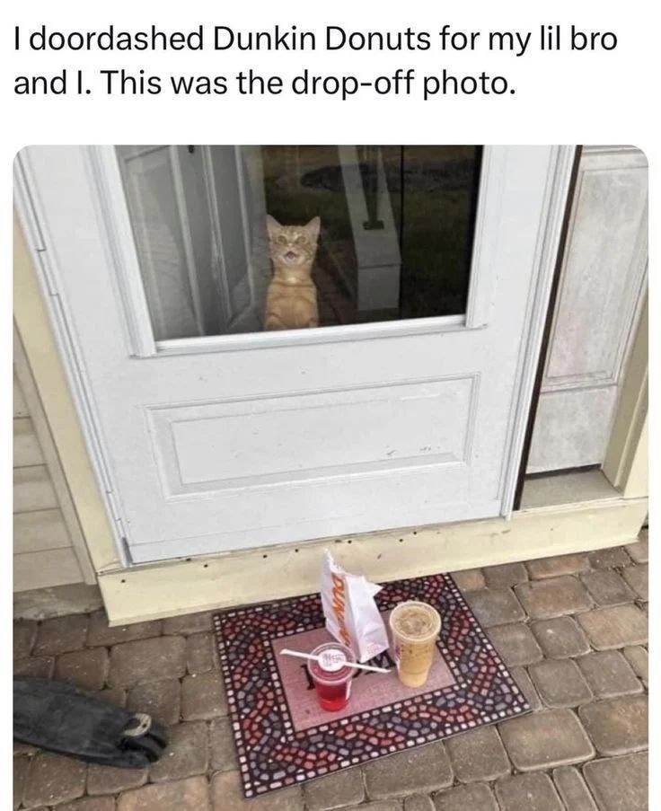 I doordashed Dunkin Donuts for my lil bro and I. This was the drop-off photo.
