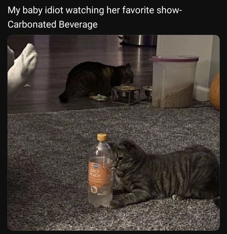 My baby idiot watching her favorite show- Carbonated Beverage NICY PEACH