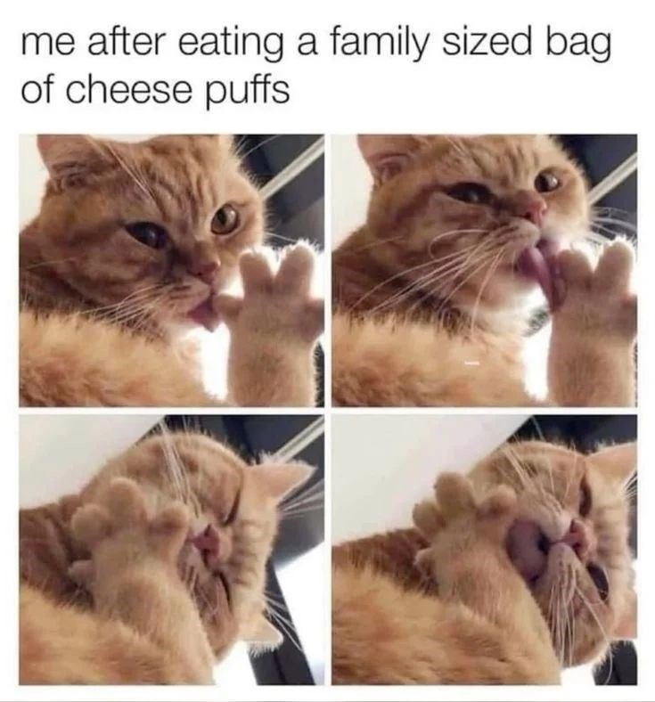 me after eating a family sized bag of cheese puffs