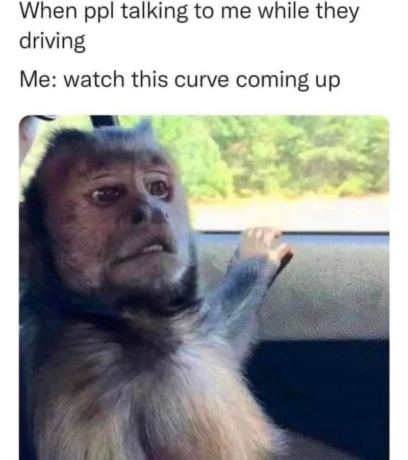When ppl talking to me while they driving Me: watch this curve coming up