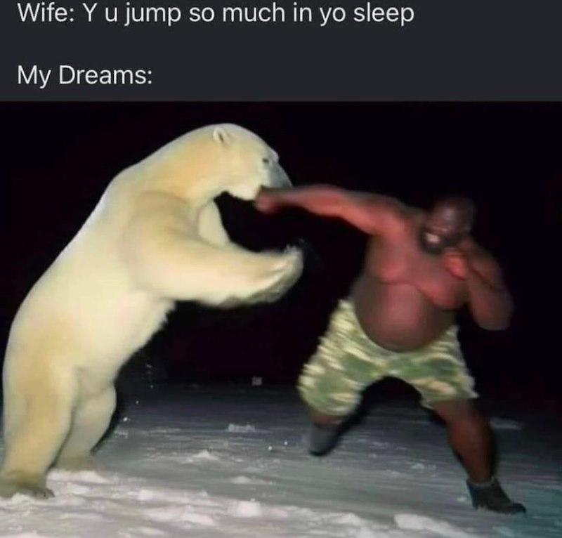 Wife: Y u jump so much in yo sleep My Dreams: