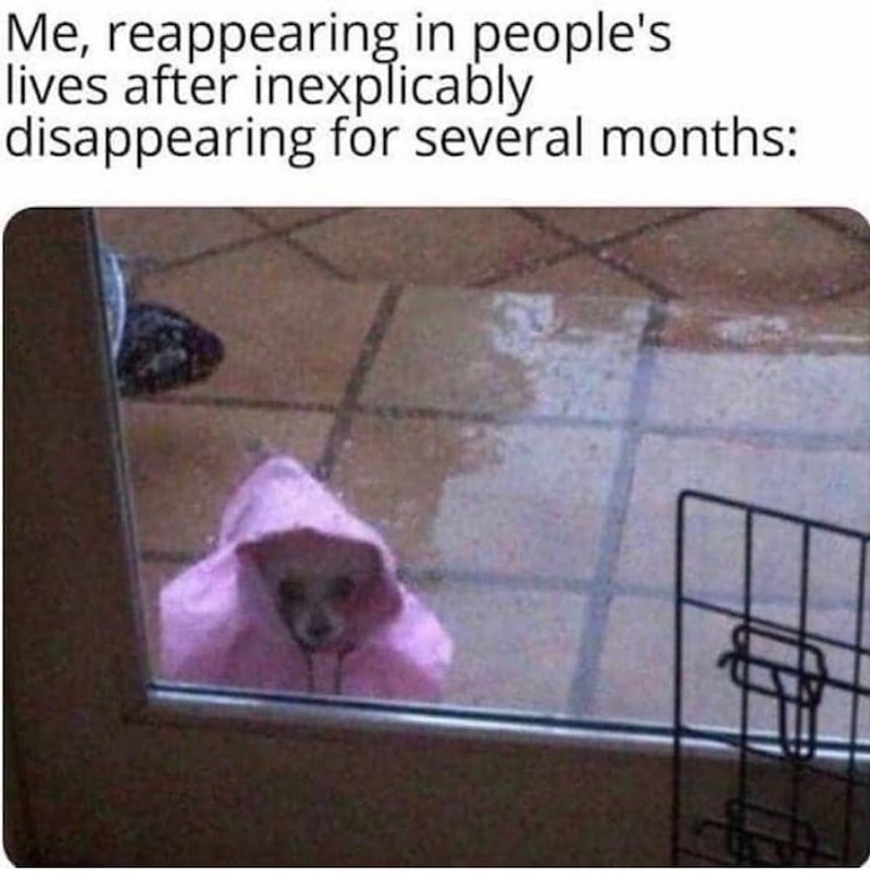 Me, reappearing in people's lives after inexplicably disappearing for several months: