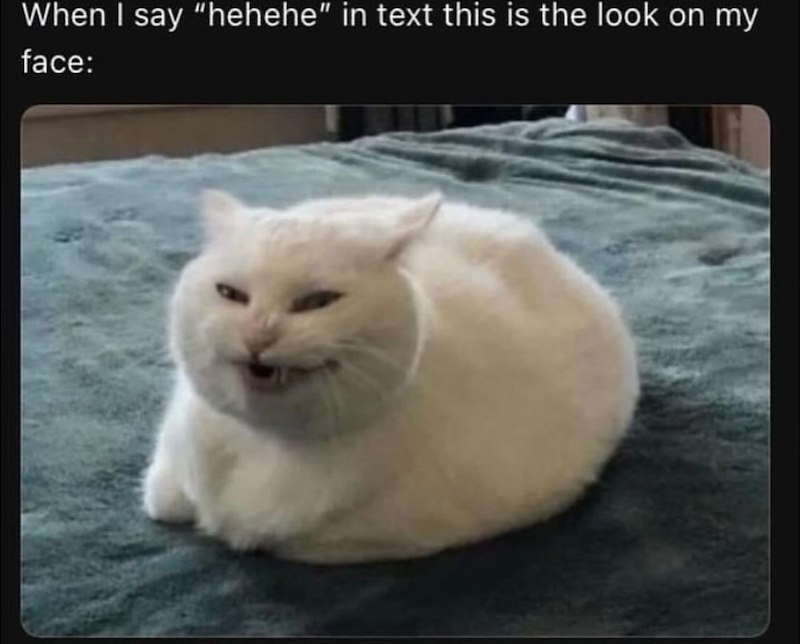 When I say "hehehe" in text this is the look on my face: