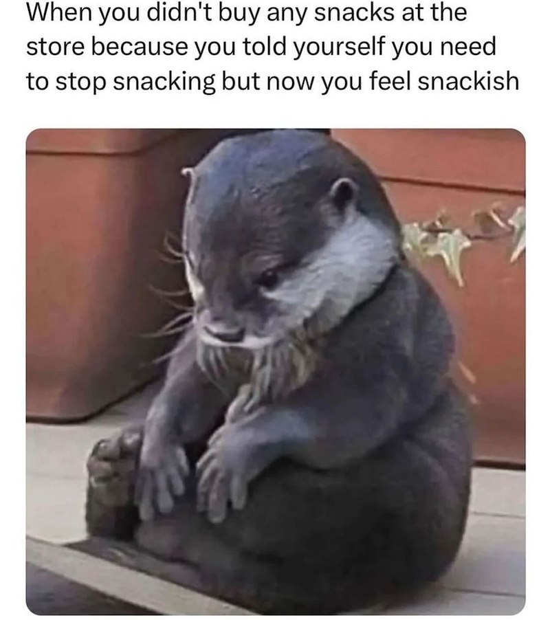 When you didn't buy any snacks at the store because you told yourself you need to stop snacking but now you feel snackish