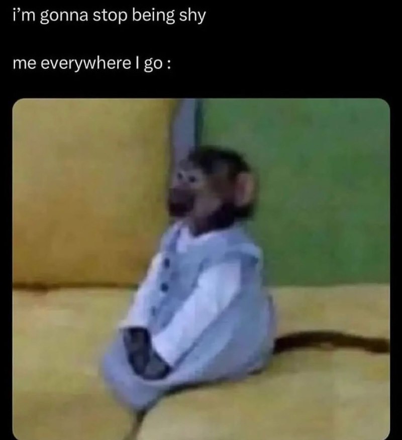 i'm gonna stop being shy me everywhere I go :
