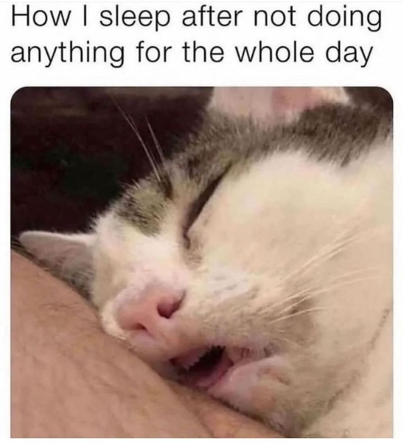 How I sleep after not doing anything for the whole day